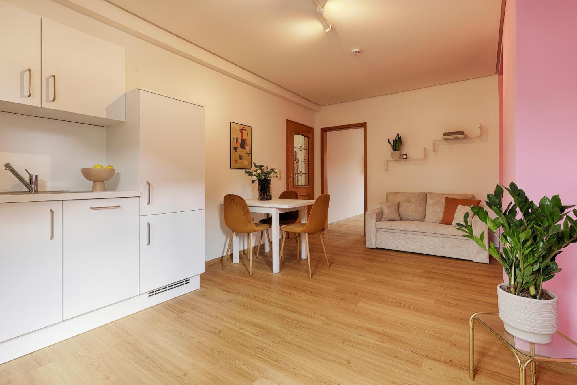 Homie Stay Badgasse - Fewos Am Main Mit Dachterrasse & Fahrradgarage Ochsenfurt Bagian luar foto